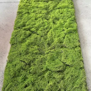 EG-J093 Factory Artificial Moss Wall Carpet for Home and Hotel Decor