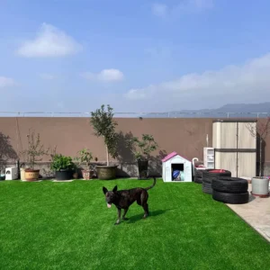 Eco Friendly Artificial Dog Turf Synthetic Carpet Good Drainage Plastic Pet Mat for Indoor Garden Outdoor Basketball Soccer Sale