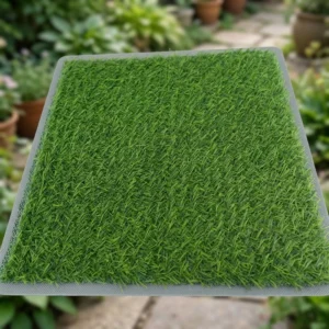 Eco-Friendly Soft Backyard Artificial Turf with Custom Specifications