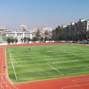 Factory Customized Soft Artificial Grass Turf for Football Court