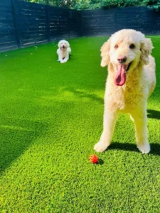 Factory Direct High Density 40mm PE Artificial Grass Waterproof Anti UV Synthetic Turf For Indoor/Outdoor Garden Backyard