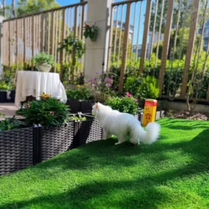 Heat-Resistant Synthetic Artificial Grass Pet-Friendly Lawn 20mm 30mm Leisure Garden Simulation Lawn