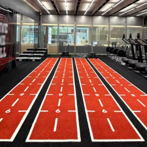 High Density 16mm PE Gym Artificial Turf Eco friendly Durable Shockproof Sports Personal Training Studio 5 Year Lifetime