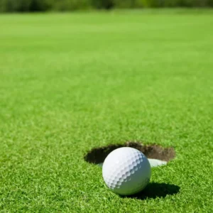 High Density Artificial Turf for Sports and Golf Putting Greens