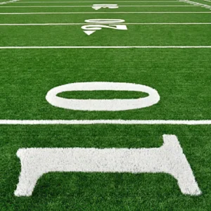 High Density Durable Fireproof Waterproof 100% PE Outdoor Green Lawn Carpet Artificial Football Field Grass for Landscape
