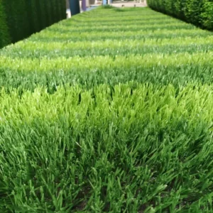 High-Density Green Artificial Turf for Outdoor Playgrounds, Soccer, Football, and Sports Fields with Anti-UV Protection