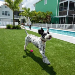 High Density Green Waterproof Artificial Turf Synthetic Lawn Carpet for Garden Backyard Patio LX50