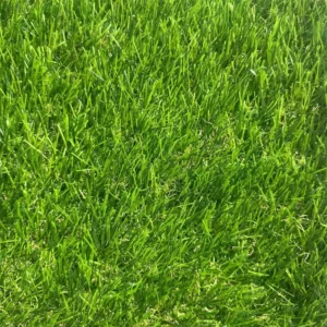 High Quality Durable High Density 10mm 20mm 50mm Eco-Friendly Plastic PE Artificial Grass Turf UV Resistance Green Outdoor Home