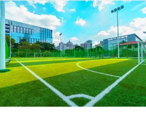 Indoor Backyard Soccer Field Carpet Synthetic Football Grass Turf for Gym Lawn Outdoor Sports