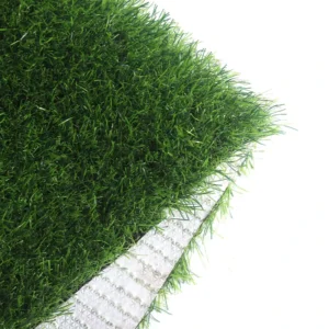 Indoor Outdoor TPR Artificial Turf Carpet with White Background