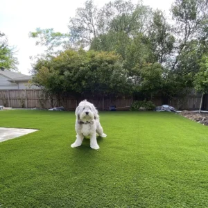 JS Factory Supply Landscape Synthetic Turf Lawn Carpet Artificial Grass for Pet