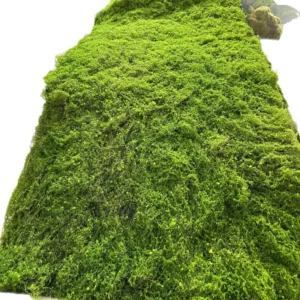 K 0265 Wedding Decoration Artificial Turf Grass Carpet Faux Grass Moss Home Decor