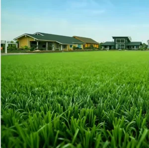 Landscape Grass Artificial Turf Grass Carpet for Kindergarten Football Fields