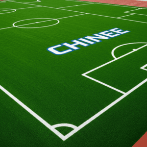 Customized OEM/ODM Artificial Grass for Sports and Recreational Industries