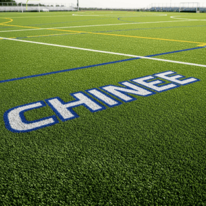 Customized Artificial Grass for Sports Fields and Recreational Facilities