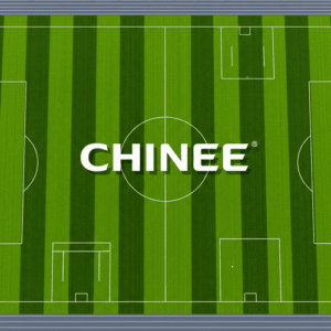 Customized Synthetic Grass for Sports Fields and Landscaping Industry Fit