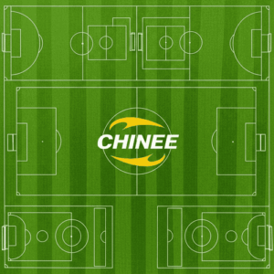 Customizable Artificial Grass for Sports Fields and Recreation Facilities