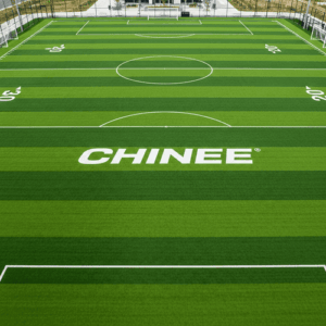 Customized Synthetic Soccer Field Grass for Sports Facilities Industry