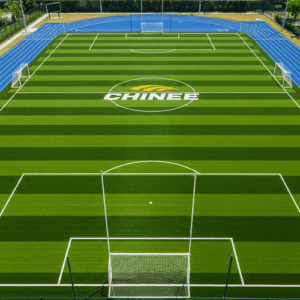 Customizable Synthetic Soccer Field Turf for Sports Facilities and OEM Applications
