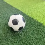 view 1