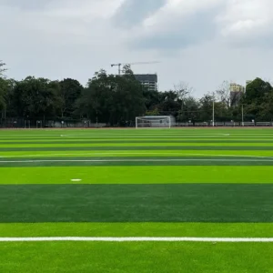 Non Infill Professional Football Soccer Field Pitch Artificial Grass Eco Friendly Durable High Density PE Material