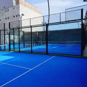 Outdoor Panoramic Padel Court with Roof LED Lights for Backyard Garden Sports Area