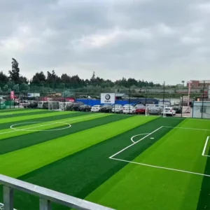 Outdoor Sports 50mm Artificial Turf Grass for Futsal and Soccer