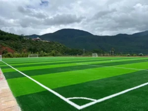 PE PP Plastic Fireproof High-Density Recyclable Artificial Grass Carpet for Outdoor Soccer and Football Turf