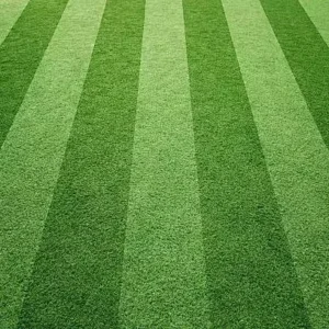 PE+PP Artificial Turf Grass Fire-Resistant for Backyard Landscaping