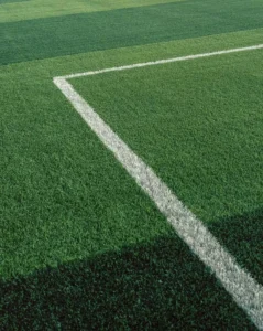 Polyester-Filled Recyclable Waterproof Artificial Football Turf and Landscaping Grass