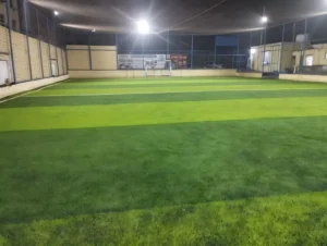 Premium Turf RoHS Certified Non Infilling Artificial Grass Fire Retardant Synthetic Rolled Turf for Soccer Field