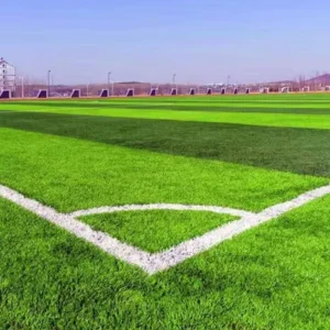 Professional Football Turf Artificial Grass for Soccer Training