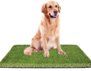 Realistic Artificial Grass Rug Indoor/Outdoor Fake Grass Dog Pet Turf Mat for Garden & Landscape