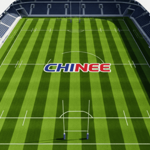 Customized Artificial Grass for Sports Fields Industry Application