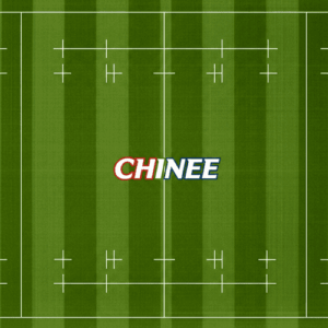 Customizable Synthetic Grass for Sports Fields and Landscape Projects
