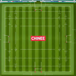 Customizable Professional Synthetic Football Field Grass for Sports & Recreation Industry