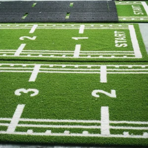 Soft Synthetic Soccer Turf for School Playgrounds, Backyards, and Gyms