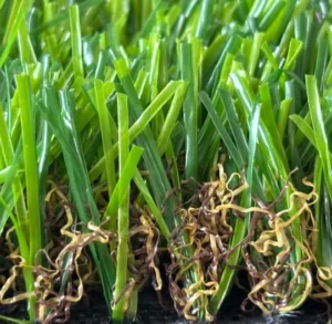 Synthetic Turf Artificial Grass for Playgrounds and Schools