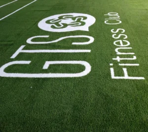 Synthetic Turf Sled Push Mat for Gym Room