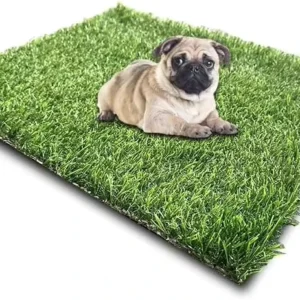 Thick Lawn for Pet Dog Friendly Customized Artificial Grass for Yard Long Lifespan Synthetic Turf for Garden Kindergarten