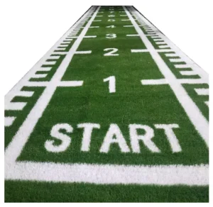 Turf Artificial Grass for Gym