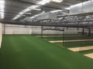 Turf Grass Artificial Grass Cricket Turf for Indoor G13