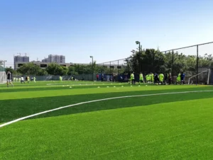 UV-Resistant Non-Infill Football Field Artificial Grass Turf for Training