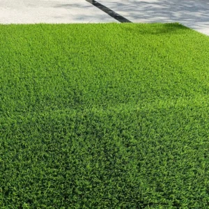 Waterproof Green Artificial Grass Mini Golf Football Court Turf Lawn Sport