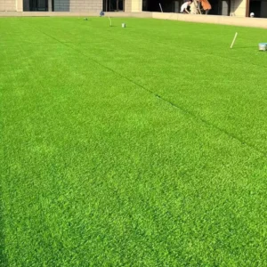 Waterproof High Density Plastic Artificial Turf Mat 60mm Football Flooring Indoor/Outdoor Sports