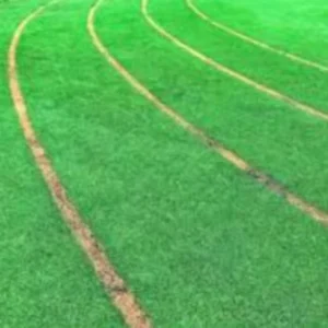 Wear Resistance UV Resistant Sports Turf High Density Football Grass Shock Absorbent Running Turf Lawn for Professional PE