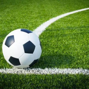 Wear-Resistant Anti-Aging 50mm Artificial Turf Grass Carpet for Football, Landscaping, and Sports Flooring