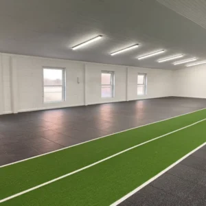 Wear-Resistant Custom-Color Gym Sled Grass Pad Durable High-Density Indoor Sports Synthetic Turf Carpet