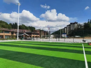 Wear-resistant Synthetic Turf for Soccer Long Lifespan Artificial Grass for Outdoor Eco-Friendly Artificial Lawn for Football