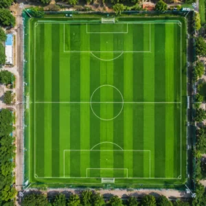 Weatherproof 12000D UV Resistant Soccer Artificial Turf High Dtex Football Grass for Sports Field & Outdoor Sports Court
